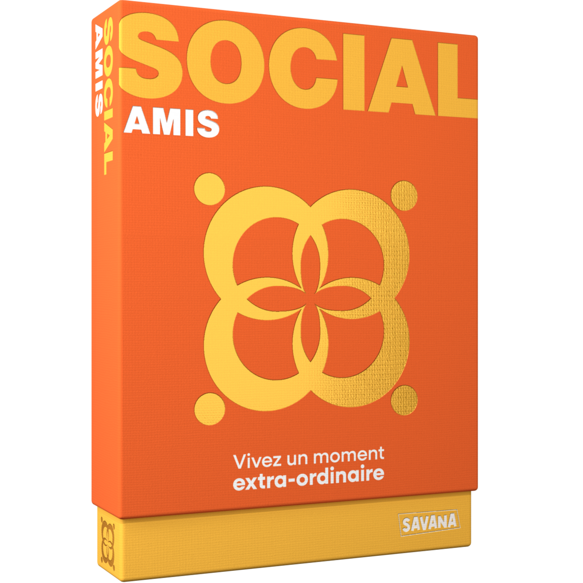 Social Amis